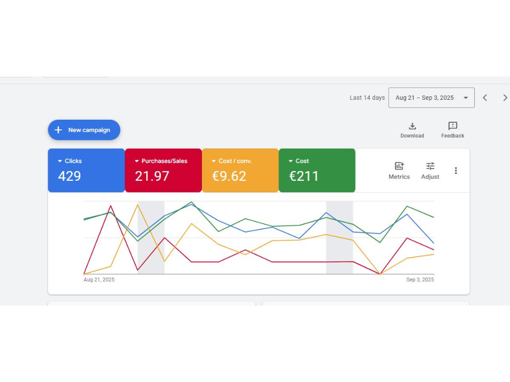 Google Ads PPC Campaign Setup Google Ads Management Service PPC Search Ad Campaigns High Performing Google Ads (4)
